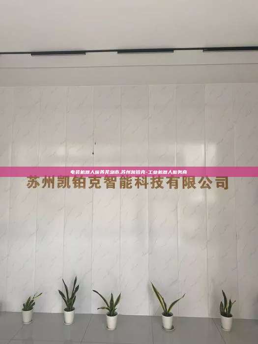 電裝機器人保養蕪湖市,蘇州凱鉑克-工業機器人服務商