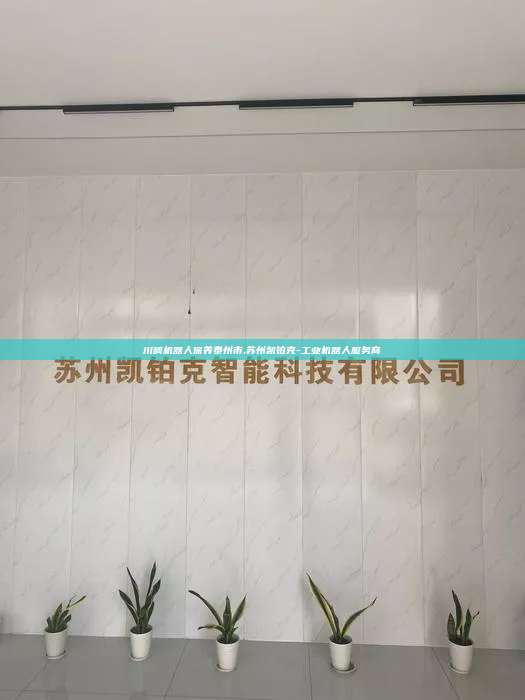 川崎機器人保養(yǎng)泰州市,蘇州凱鉑克-工業(yè)機器人服務商