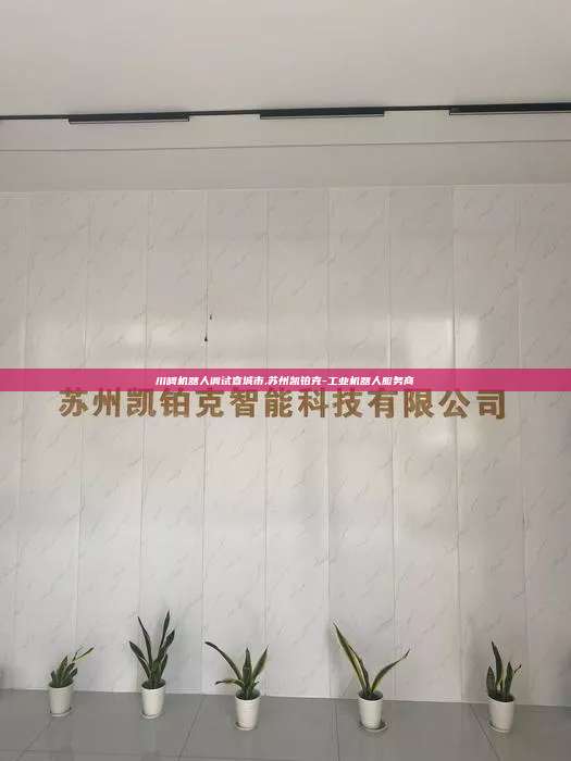 川崎機器人調(diào)試宣城市,蘇州凱鉑克-工業(yè)機器人服務(wù)商