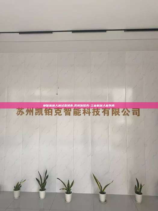 那智機器人調試宣城市,蘇州凱鉑克-工業機器人服務商