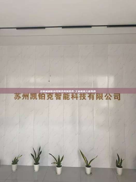 雙機械臂協同控制蘇州凱鉑克-工業機器人服務商