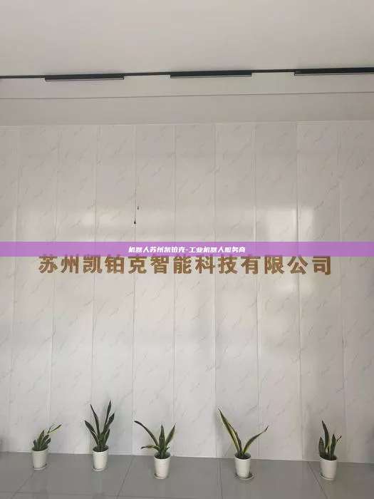 機器人蘇州凱鉑克-工業機器人服務商