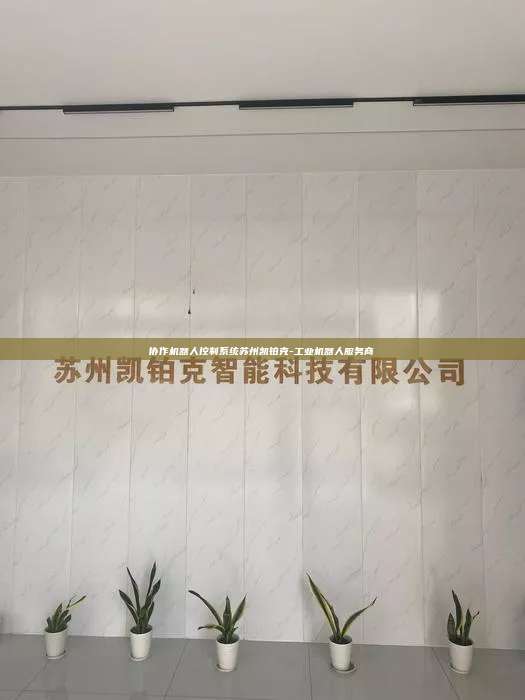協(xié)作機器人控制系統(tǒng)蘇州凱鉑克-工業(yè)機器人服務商