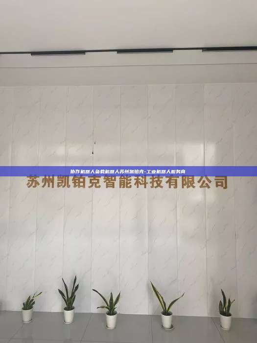 協作機器人負載機器人蘇州凱鉑克-工業機器人服務商