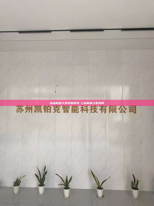 碼垛機器人蘇州凱鉑克-工業機器人服務商
