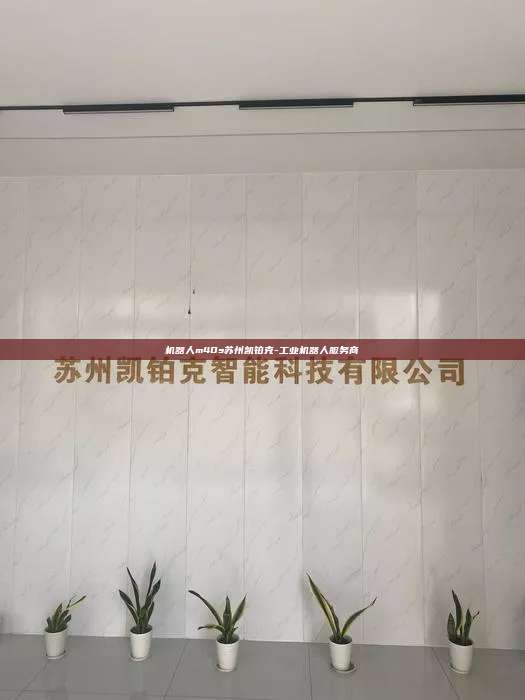 機器人m40s蘇州凱鉑克-工業機器人服務商