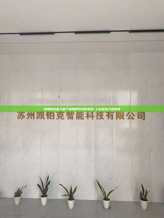 發那科機器人哪個國家的蘇州凱鉑克-工業機器人服務商