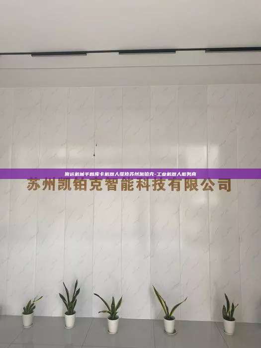 搬運機械手臂庫卡機器人維修蘇州凱鉑克-工業機器人服務商