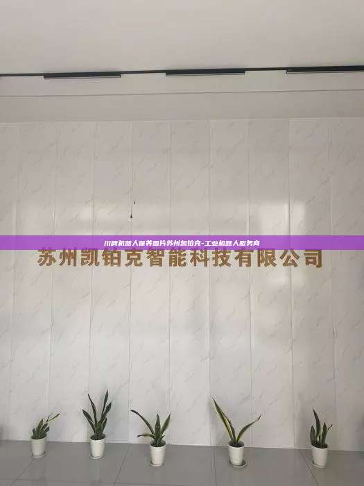 川崎機(jī)器人保養(yǎng)圖片蘇州凱鉑克-工業(yè)機(jī)器人服務(wù)商